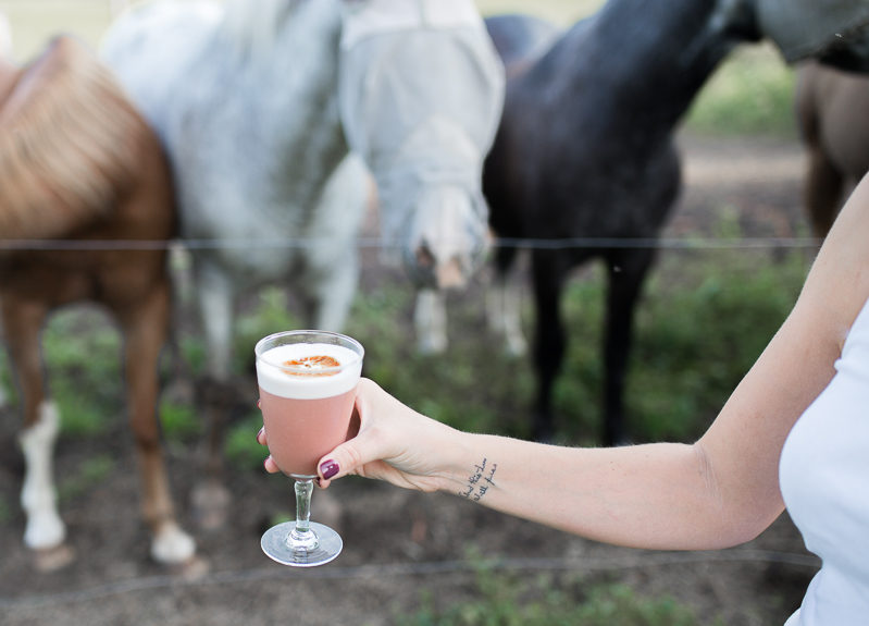horse-cocktail-14