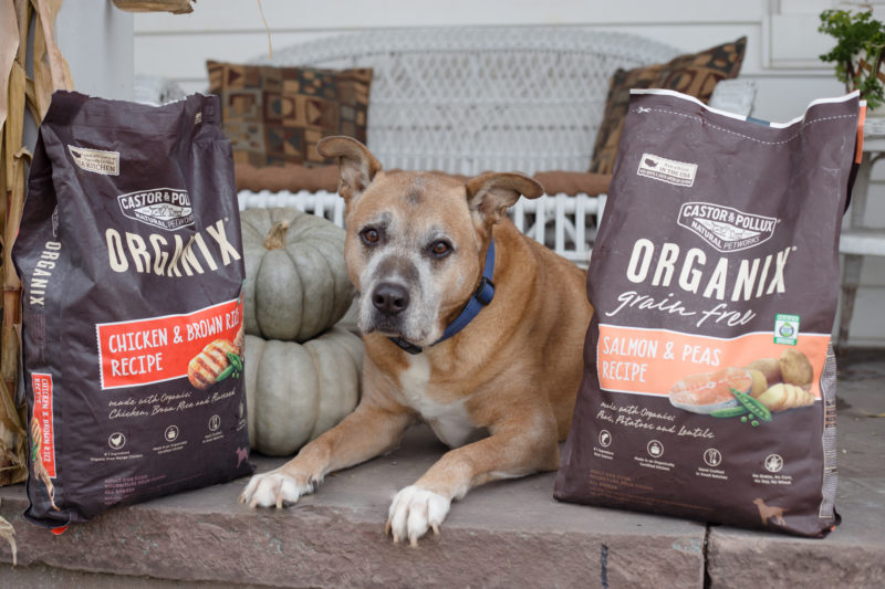 Organix clearance dog food