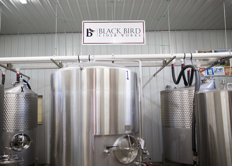 blackbirdcider-8