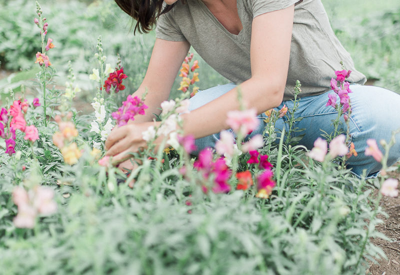 Alix in her garden on our farm. She loves to plant and grow edible flowers.