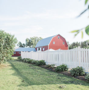 Summer vibes on our farm. The pool is beautiful during the summer and it's relaxing for all the right reasons.