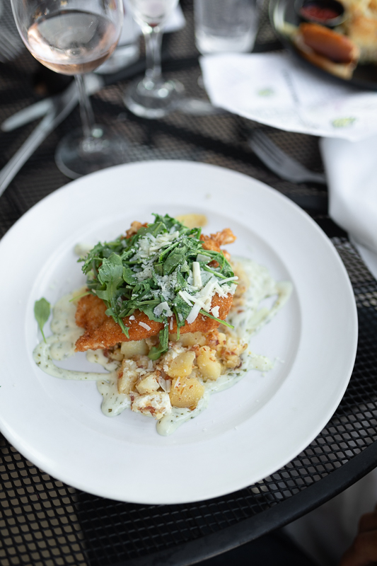 Is the Chicken Cutlet the official dish of Medina? Zambistro has been offering this dish for years and it's almost impossible to order something else. 