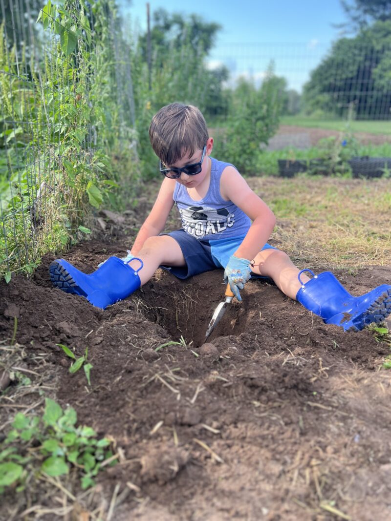 Give a boy a shovel and let him go to town in the garden. He just kept digging. 